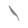 TRIUMPH TIGER 850 / 900 2020-2025 CUPOLINO WRS TOURING FUME'